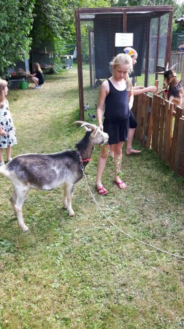 Sommer 2016 (11)
